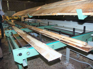 paletar-250-F-auto